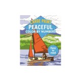 The Large Print Peaceful Color by Numbers Book
