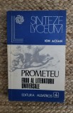 ION ACSAN - PROMETEU EROU AL LITERATURII UNIVERSALE