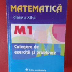 MATEMATICA CLASA A XII A ,M1 CULEGERE DE EXERCITII SI PROBLEME - BURTEA