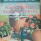DICTIONARUL DUMONT DE PLANTE PENTRU BALCON SI TERASA