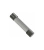 Siguranta fuzibila intarziere 500mA 250VAC 5x20mm SPT SCHURTER 0001.2501