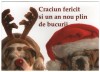 Craciun, carte postala, nou 4