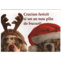 Craciun, carte postala, nou 4