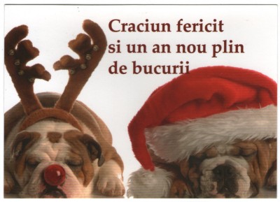 Craciun, carte postala, nou 4 foto