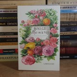 BUNELE MANIERE : ENCICLOPEDIE DE STIL, ELEGANTA SI SAVOIR-VIVRE , 2017 *
