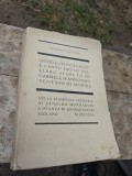 Cento e cento e cento e cento pagine del libro segreto di Gabriele D/Annunzio tentato di morire - Angelo Cocles