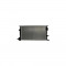 Radiator apa RENAULT MEGANE III cupe DZ0 1 AVA Quality Cooling RT2445