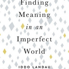 Finding Meaning in an Imperfect World