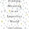 Finding Meaning in an Imperfect World