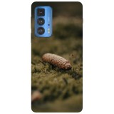 Husa compatibila cu Motorola Moto G71 5G model Pine cone, Silicon, TPU, Viceversa, Transparent, Carcasa