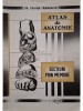 Traian Trandafir - Atlas de anatomie - Sectiuni prin membre (Editia: 1994)
