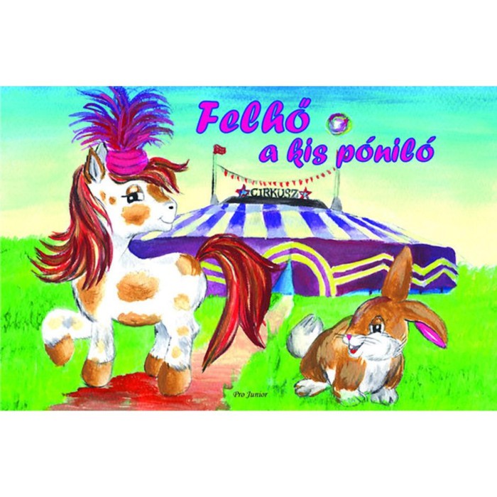 Felhő a kis p&oacute;nil&oacute;