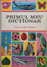 Primul meu dictionar foto