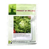 Seminte salata de capatana Hilde 10 gr, Holland, Holland Farming