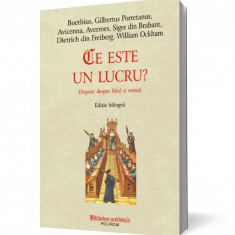 Ce este un lucru? Dispute despre fiind şi esenţă. Ediţie bilingvă