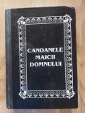 Canoanele Maicii Domnului