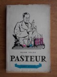 Petre Tautu - Pasteur