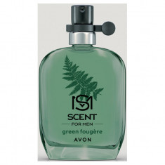 Parfum barbat Avon Green Fougere pentru El 30 ml foto