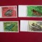 PAUPA NEW GUINEA SERIE MNH=99