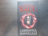 John Saul, Labirintul diavolului