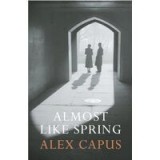 Almost Like Spring A Novel