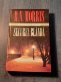 Securea blanda R. N. Morris