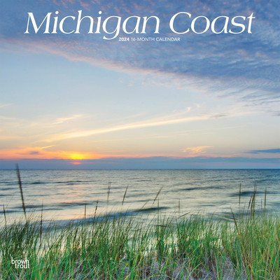 Michigan Coast 2024 Square foto