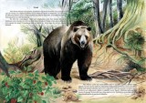 Locuitorii padurii | Eugen Jianu