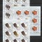 ROMANIA 2013 - OBIECTE DE COLECTIE, APARATE FOTO, MINICOLI, MNH - LP 1972b