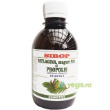 Sirop de Patlagina, Muguri de Pin si Propolis pentru Diabetici 200ml