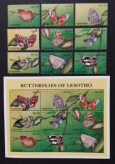 LESOTHO -FLUTURI DIN LESOTHO-9V +1 COALA MICA-, NEOBLIT. -LST 12A foto