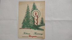 Propaganda electorala UDMR Maramures
