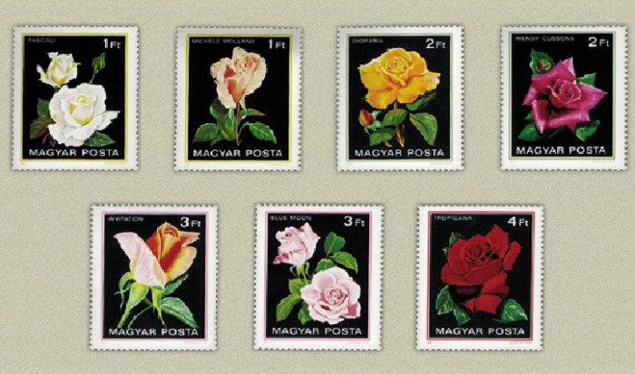 Ungaria 1982 - Flori, trandafiri, serie neuzata