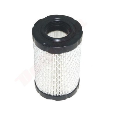 Filtru aer Briggs &amp;amp;amp; Stratton (796031, 591334, 590825) 127x76x37 foto