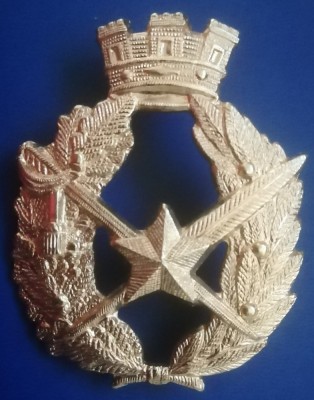 QW9 N 18 - insigna - regalitate - coroana regala pe lauri, spada, pana si stea foto