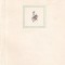 Walt Whitman - Fire de iarba
