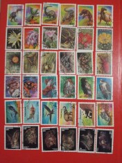 TANZANIA - SERII DIFERITE ȘTAMPILATE