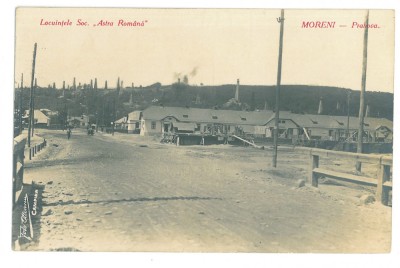 776 - MORENI, Prahova, Market, Romania - old postcard, real Photo - unused foto