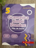 Gramatica limbii rom&acirc;ne. Fișe de lucru pentru clasa a V-a