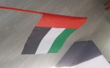 Steag Emiratele Arabe Unite