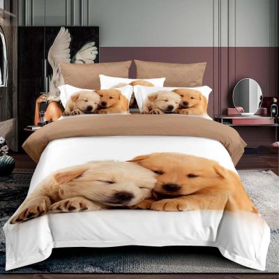 Lenjerie pat single 3D, bumbac finet,3 piese, cearceaf pat clasic 160cm x 230cm, cearceaf pilota 150cm x 220cm, 1 fata perna 50 x 70-F1P63 foto