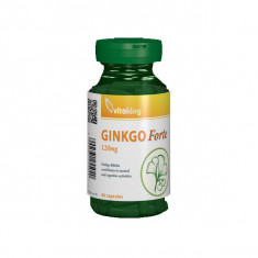 Ginkgo Biloba Forte 120mg Absorbtie Indelungata Vitaking 60cps
