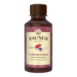 Tinctura Colesterolus pentru metabolismul colesterolului si al lipidelor, 200 ml, Faunus Plant