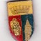 bnk ins Insigna Piatra Neamt