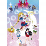 Poster Sailor Moon - Moonlight Power (91.5x61)