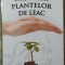 Dictionarul plantelor de leac// 2008