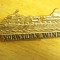 QW9 N 96 - insigna - militar - marina - Norvegia - Norwegian wind