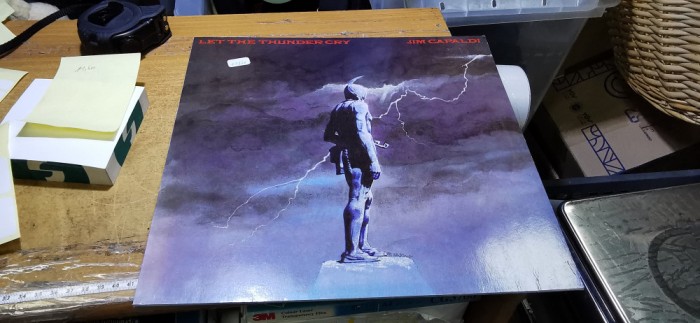 Let The Thunder Cry - Jim Capaldi #A7376han