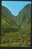 CPIB 22940 - CARTE POSTALA - MUNTII APUSENI, CHEILE TURZII, NECIRCULATA