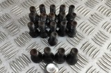 Set prezoane roata BMW X2 F39 2023 OEM: 2453961,6890324 30745298